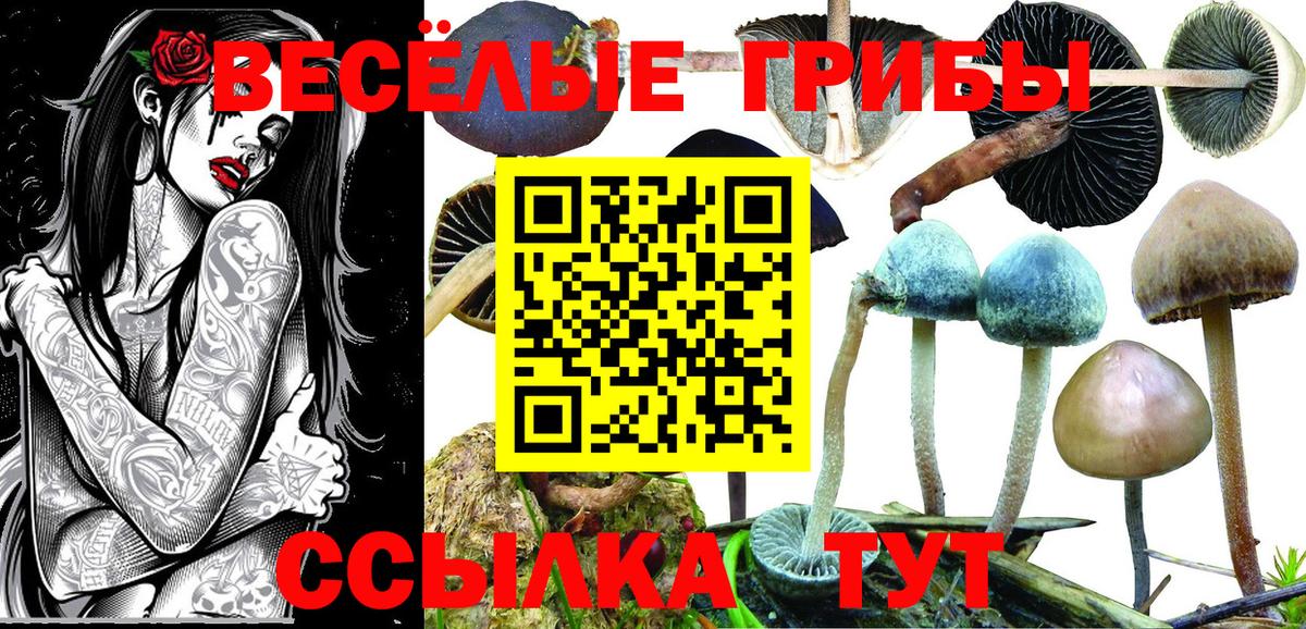 Галлюциногенные грибы Cubensis  Галлюциногенные грибы мухоморы  Дмитров  Вход с VPN 